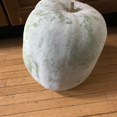 夏野菜セットの画像