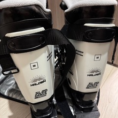 sled dogs snowskatesの画像