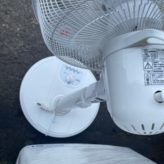 2024年製　扇風機の画像