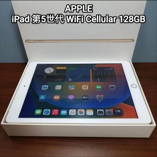 iPad 第5世代 Wifi Cellular Simフリー 128GB 美品 (宇宙) 北