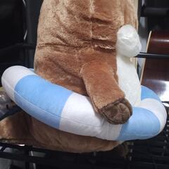 かなづちフレンズ　カワウソの画像