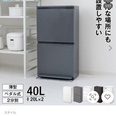 ゴミ箱2段 ペダル 縦型 40L 蓋付きの画像