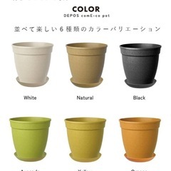 【新品未使用】植木鉢8号の画像