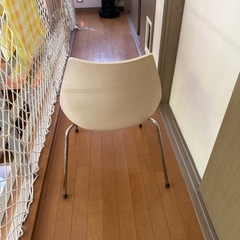 KARTELL MAUI (イタリア製のダイニングチェアー)の画像