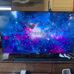 カタツムリ　65インチ 液晶　65S6E EN3A40 65型