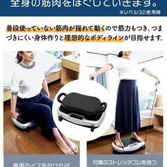 LIFE FIT トレーナー 2way 振動マシンの画像