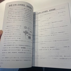 たったこれだけプリント　6年生の画像