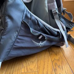 オスプレイ・ベビーキャリア Osprey Poco Premiumの画像