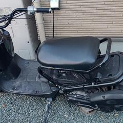 ホンダ  ズーマー50cc 現状渡しキャブ車の画像