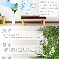 ②パキラ　フェイクグリーン　観葉植物の画像
