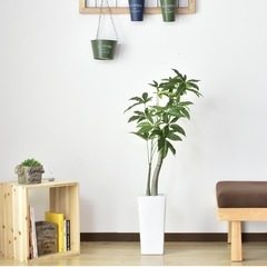 ②パキラ　フェイクグリーン　観葉植物の画像