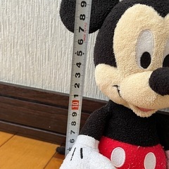 ミッキー&ミニー　ぬいぐるみ
の画像