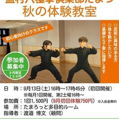 初心者対象🔰中国伝統武術【八極拳教室】土曜16時@玉津インターすぐの画像