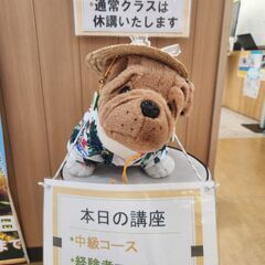 ニューロン麻雀スクール太平通校は初心者から熟練まで、子供からシニアまで(^▽^)　レベルに合わせて麻雀を楽しめます。もちろんお金は賭けません××の画像