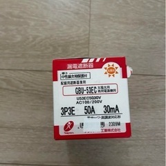 ブレーカー 3p3e 50a 30ma GBU-53EC の画像