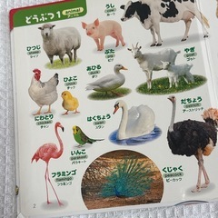はじめてのずかん555 かわいいこねこ 2冊セットの画像