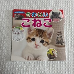 はじめてのずかん555 かわいいこねこ 2冊セットの画像