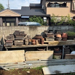 鉢植えの画像