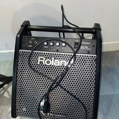 Roland td-17 PM-100の画像