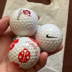 ハワイ　コオリナゴルフクラブ　ボール　NIKE グリーンフォーク　ティーまとめての画像