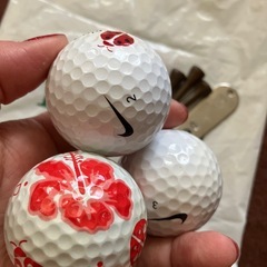 ハワイ　コオリナゴルフクラブ　ボール　NIKE グリーンフォーク　ティーまとめての画像