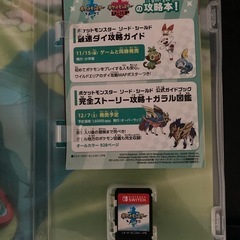 ポケモン　ソード
の画像