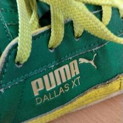 0804-165 PUMA　26センチの画像