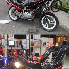 gf250の画像