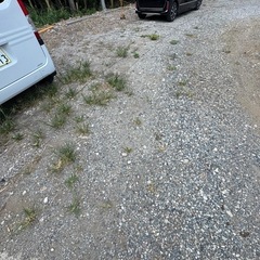一名募集　上尾市平塚　駐車場草むしりの画像