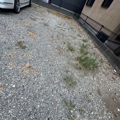 一名募集　上尾市平塚　駐車場草むしりの画像