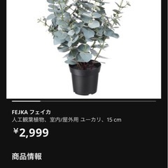 フェイクグリーン　 IKEA 2つセット　籠付きの画像