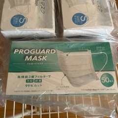 マスク小さめ(西野まで)の画像