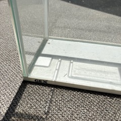メダカ  水槽 GEXの画像