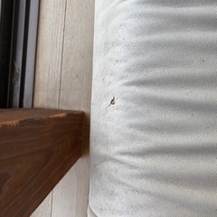 ３人掛けソファあげますの画像