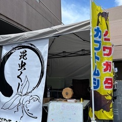 昆虫くじの画像