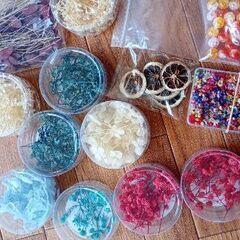 ビーズ、ドライフラワーの画像