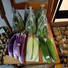 今日の野菜の画像