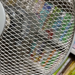扇風機　動きます　無料の画像