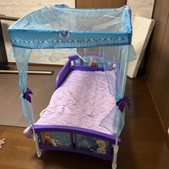 エルザベッドの画像