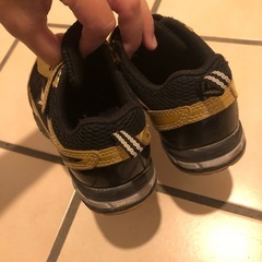 ゴールド俊足　17cmの画像