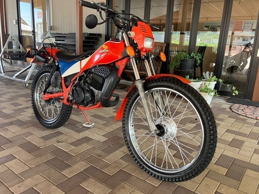 値下げ❗️原付免許で乗れるトライアルバイク！HONDA TLM50 2サイクル　機関良好　前後タイヤ・チューブ新品　シート張り替え　ギアオイル交換