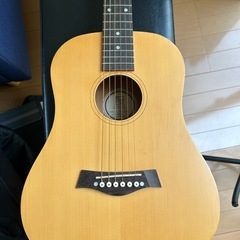 ギター　カバー、おまけ付き　音音 DT1S NTSの画像