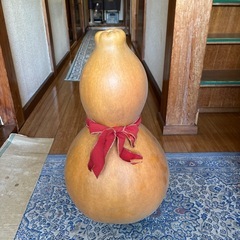 超ビッグなひょうたん　瓢箪の画像
