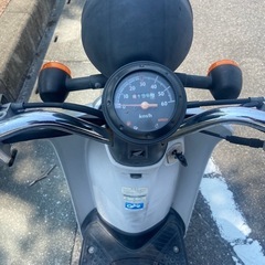 ホンダ トゥデイ 未整備車両の画像