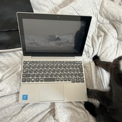 商談中。パソコンの画像