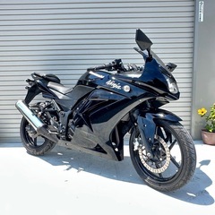 埼玉発!! カワサキ　Kawasaki ニンジャ250R NINJA250R EX250K 直接引き取り　隣県格安配送　全国陸送可能！の画像