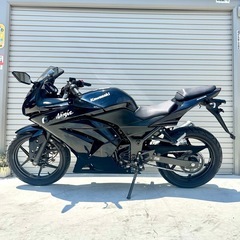 埼玉発!! カワサキ　Kawasaki ニンジャ250R NINJA250R EX250K 直接引き取り　隣県格安配送　全国陸送可能！の画像