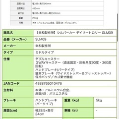 定価24,800円　未使用　高機能　シルバーカー デイリートロリー 高齢者 介護の画像