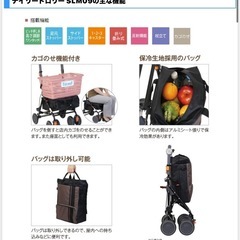定価24,800円　未使用　高機能　シルバーカー デイリートロリー 高齢者 介護の画像
