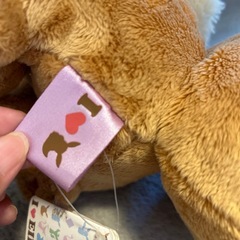 新品タグ付きイーブイ🏷𓈒𓏸︎の画像